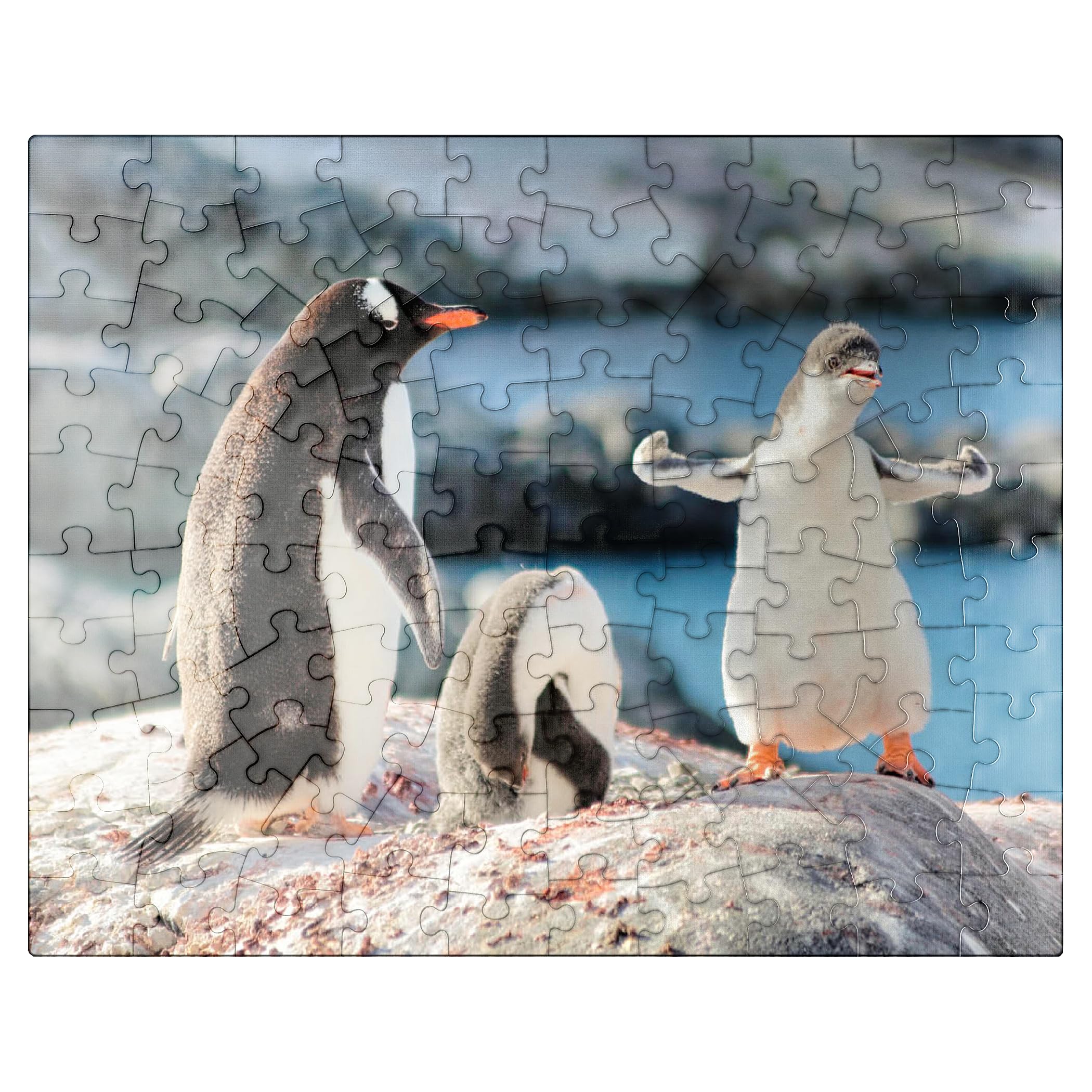 Strongster Gentoo Penguin Cute Funny Baby Chick Mama Penguins Colony Cold Wild Life Creatures Antarctica - Premium 100 Piece Jigsaw Puzzle for Adults