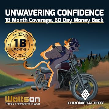 Chrome Battery YB16CL-B Battery - Rechargeable, High Performance Power Sports, Factory Sealed, Durable, 240 CCA, Black