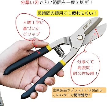 812L2l-R8ML._AC_UF350,