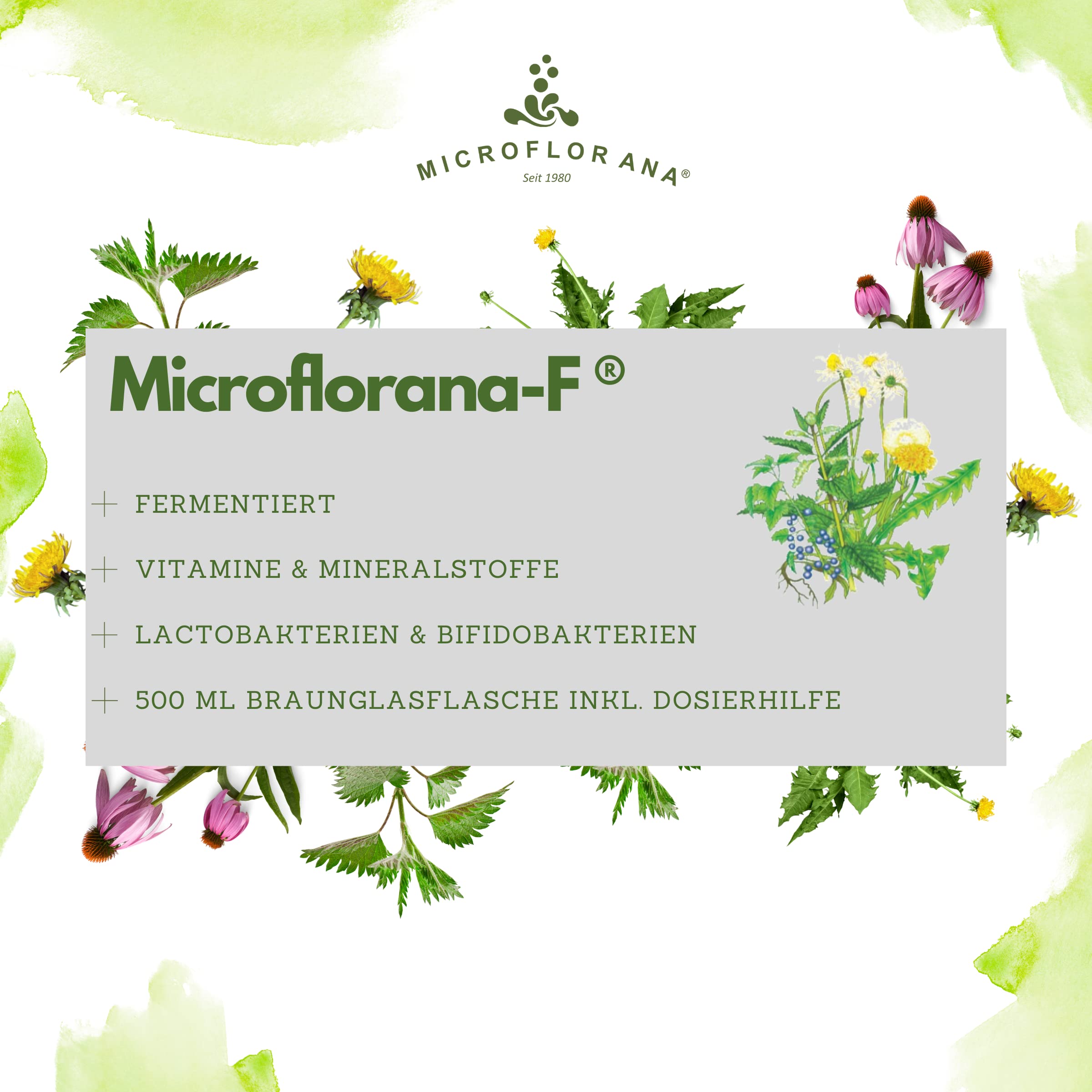 F - Probiotika - Darmsanierung - Ansiedlungsfähige Bakterienstämme - Vitamine und Mineralstoffe - inkl. Dosierhilfe - Pflanzenbestandteile - Probiotika flüssig - Seit 1980-500 ml