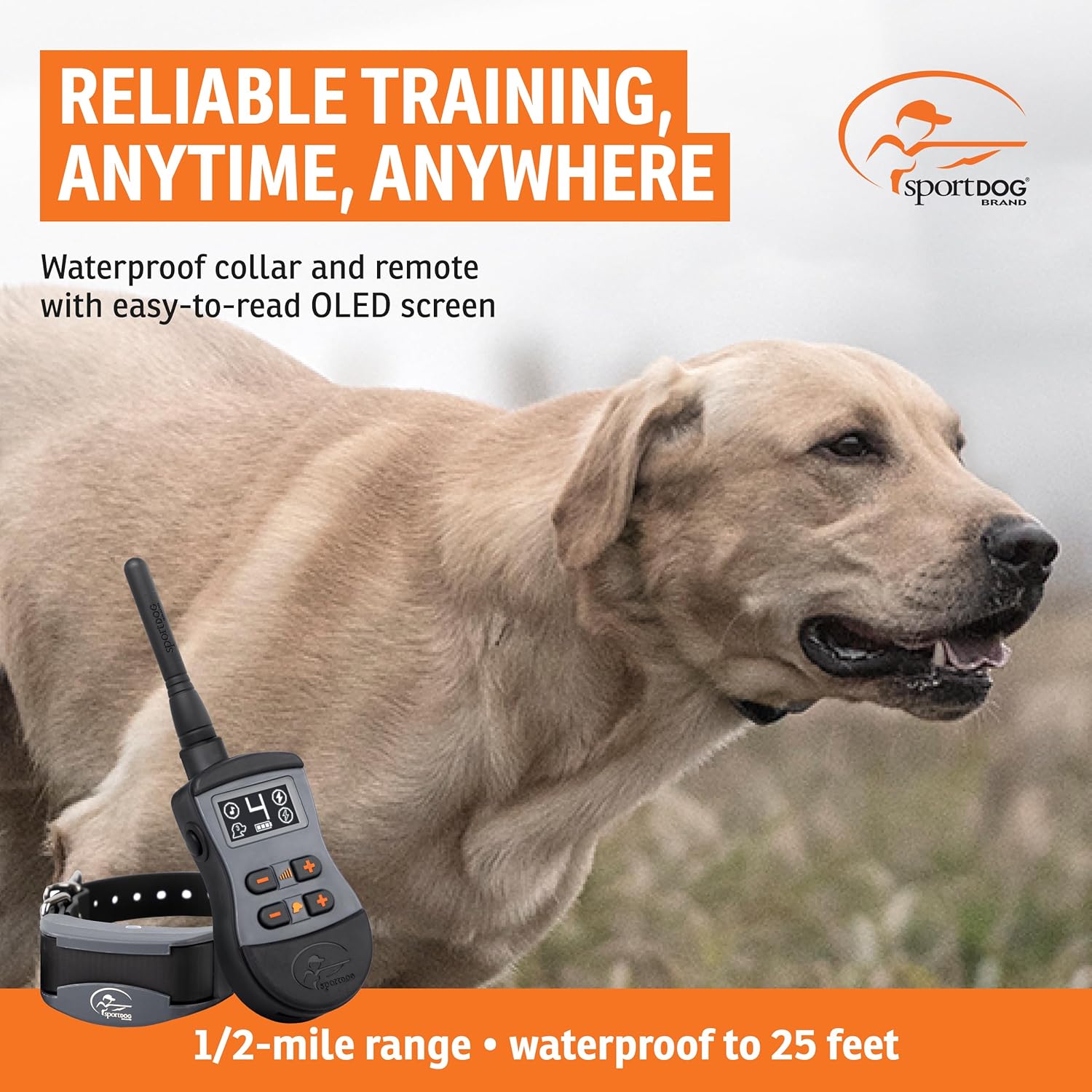 Dog and trainer using SportDOG remote trainer in a field