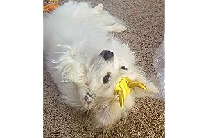 Loki Helmet Crown of Horns Dog & Cat Gold Halloween Costume Accessory