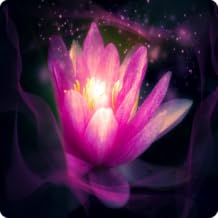 Guided Meditation Guide