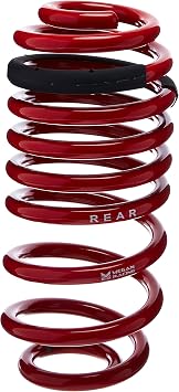 Megan Racing MR-LS-VWG06 Coilover Lowering Spring