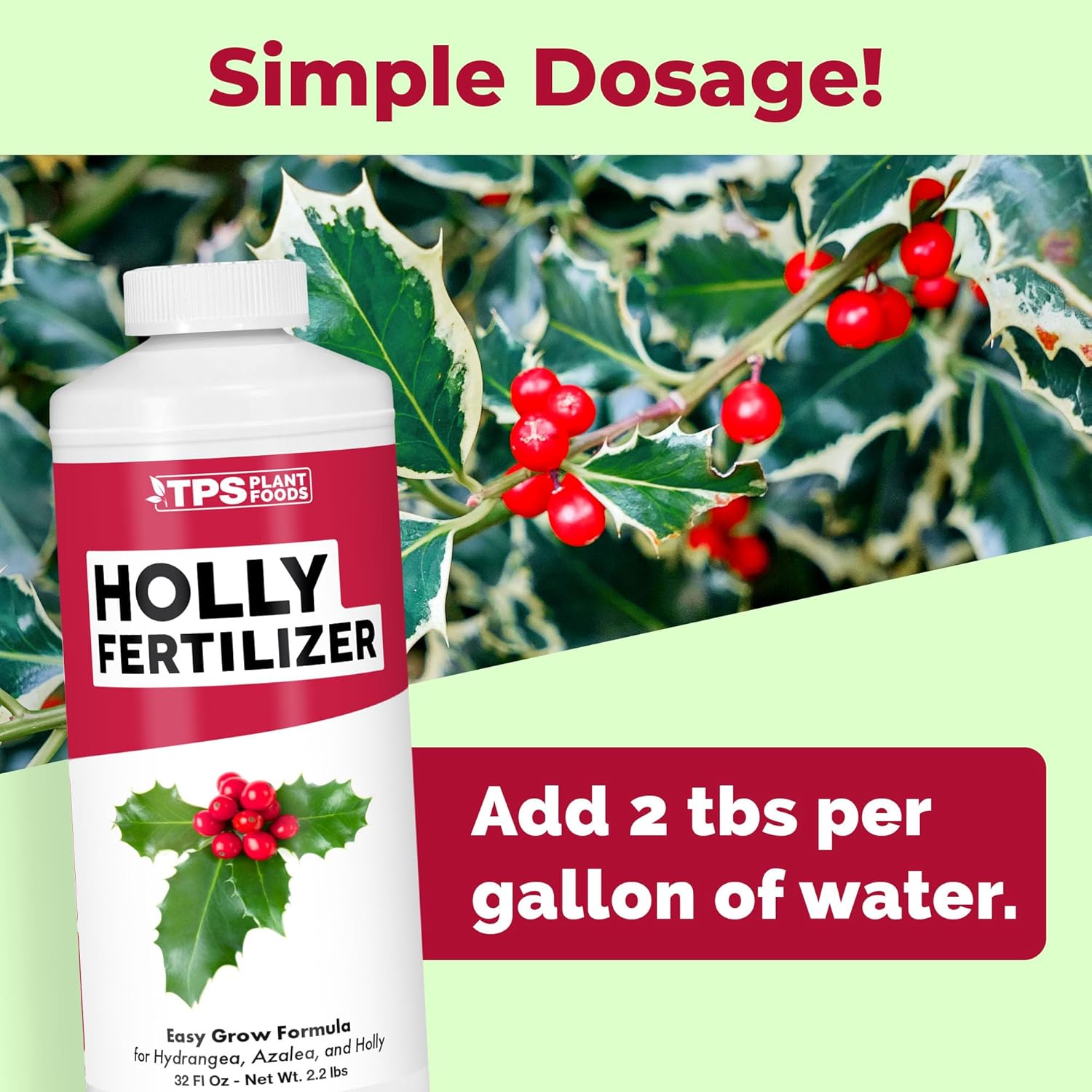 Holly Fertilizer – Liquid Plant Food for Deep Green Leaves, Dense Growth & Strong Roots, 32 oz