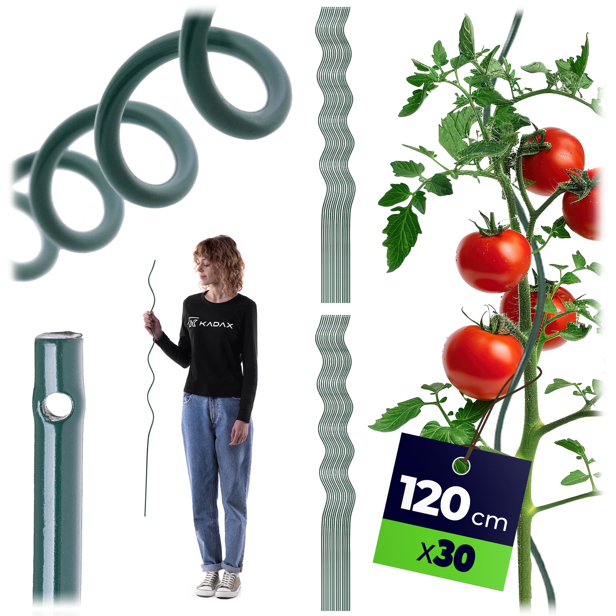 Tuteurs en spirale pour tomates au potager : lot de 30 tuteurs KADAX 120cm