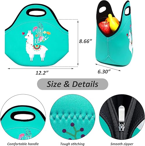 Miniatura 5 de YOUBDM Bolsas de almuerzo de neopreno con aislamiento térmico, bolsa de almuerzo reutilizable, lavable, bolsa de picnic de neopreno para mujeres y