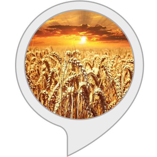 Omer Counter Alexa Skills