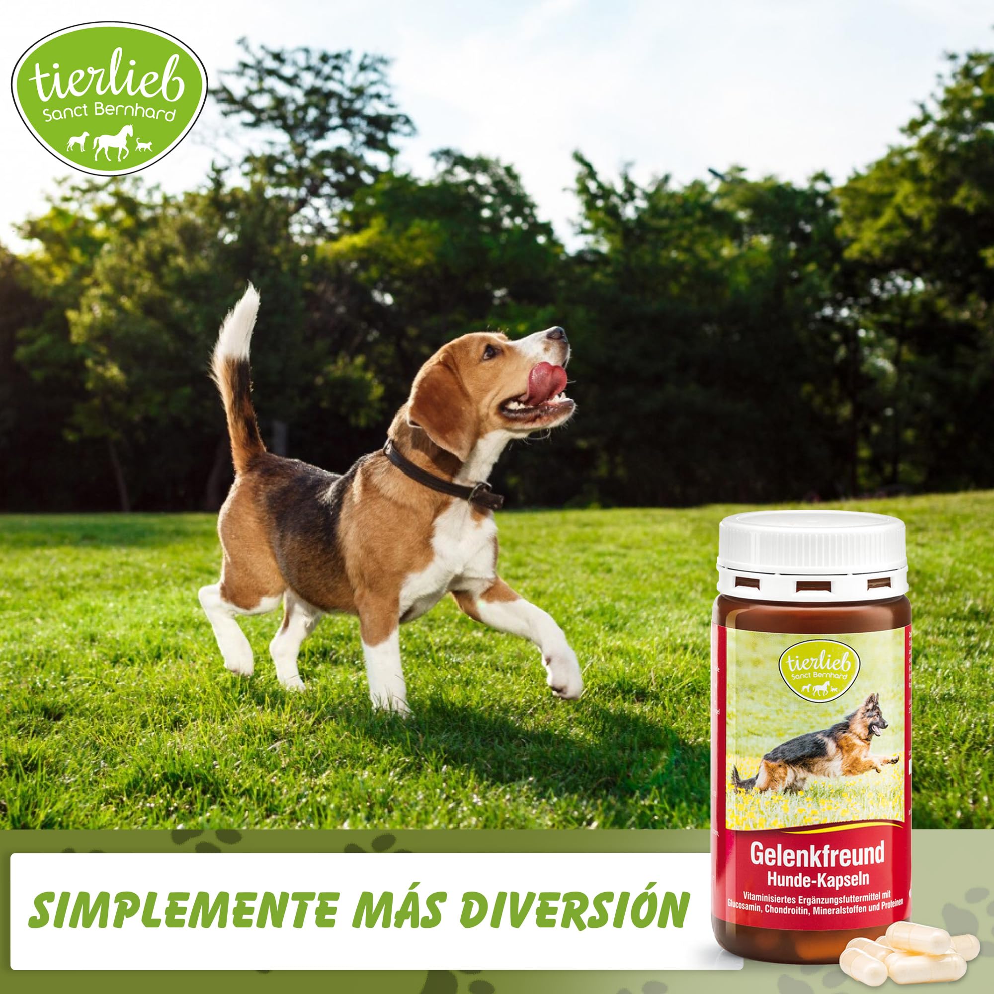 Complemneto para Las articlaciones de los Perros Gelenkfreund - 3x130 Cápsulas - Complemento para Perros, favorece el cartílago y fortalece la Estructura de los Huesos - Sanct Bernhard - Cebanatural
