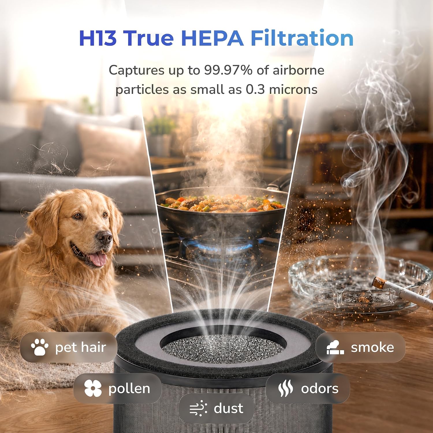 Small Air Purifier for Bedroom, Desk & Office, HEPA Filter, 3-Stage Filtration, Ultra-Quiet Sleep Mode, Compact Desktop Air Purifier for Home Dorm Travel, Pet Dander Dust Smoke, 300 Sq Ft image 3