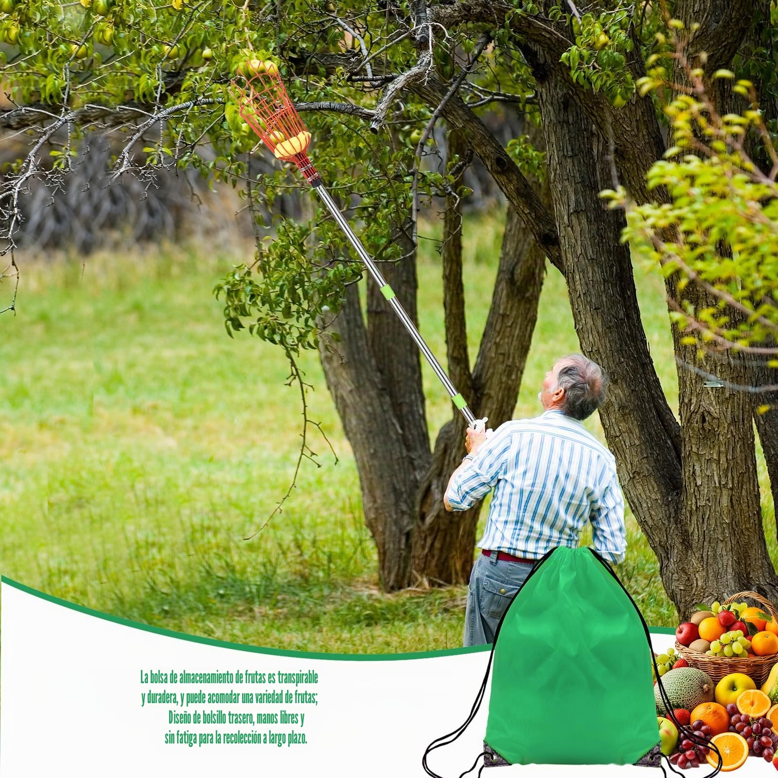 Recogedor de frutas con barra telescópica, 2,4 m, recogedor de manzanas con bolsa de algodón y almohadilla de espuma, recogedor de frutas para manzanas, cítricos y peras