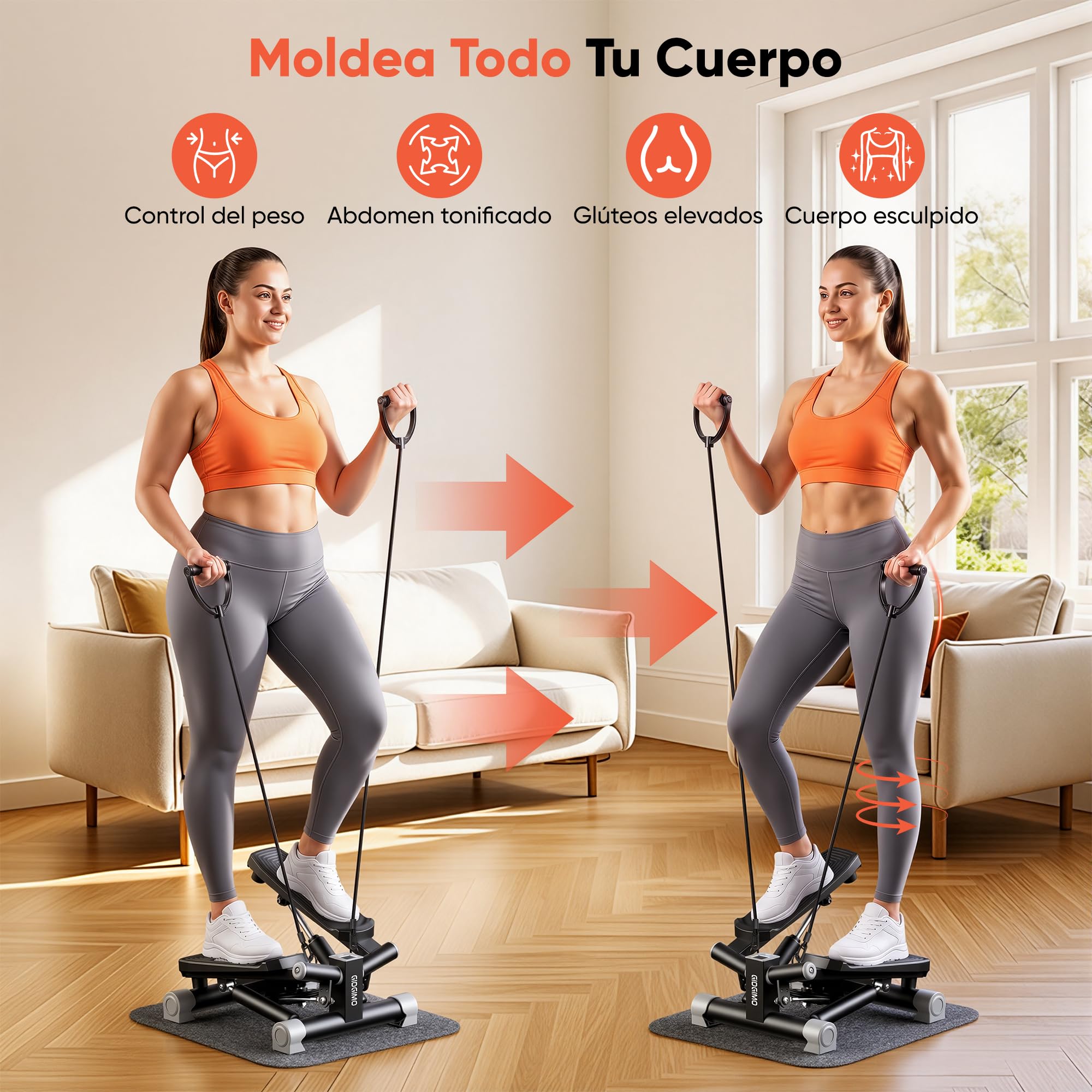 GIDGIMO Twist Stepper con Bandas de Resistencia, Mini Stepper Hidráulico para Casa, Entrenamiento de Cuerpo Completo para Piernas, Glúteos, Abdomen y Brazos, Máquina de Fitness Compacta y Silenciosa