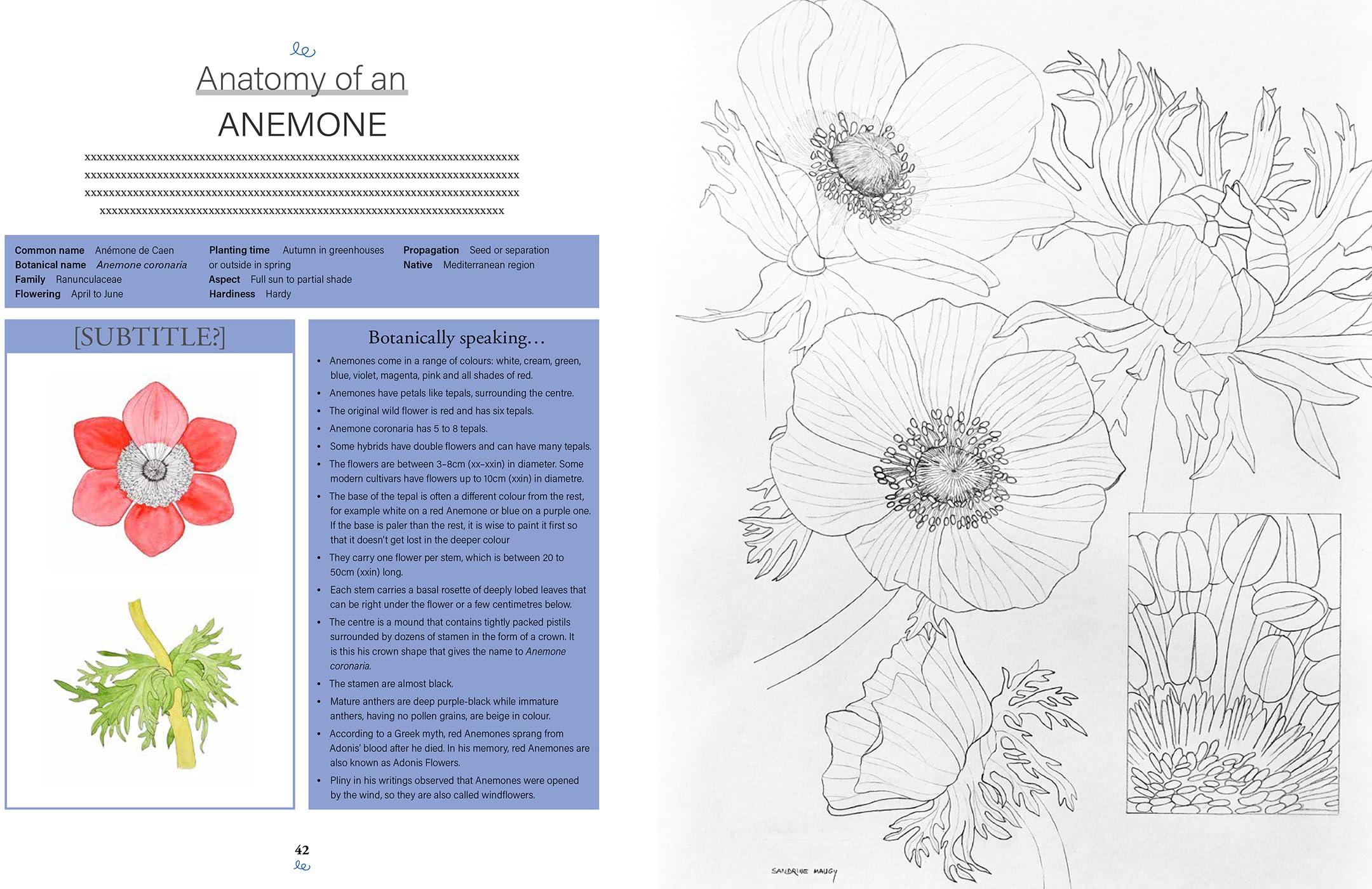 Botanical Watercolours through the seasons: An All-year-round Guide to Painting Flowers and Plants