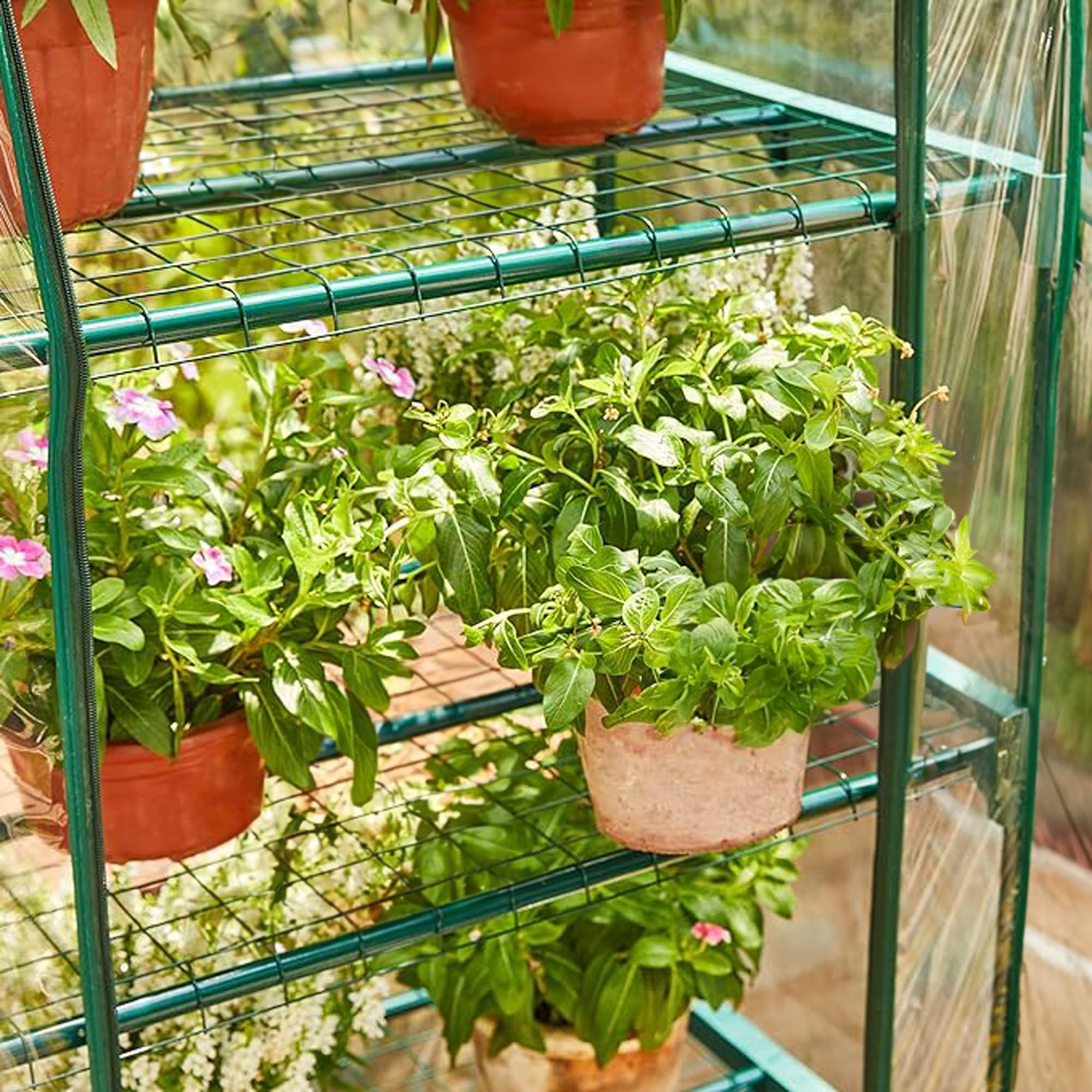 Springos Mini Serra Balcone 5 Ripiani 70x50x190cm Verticale Copertura Pellicola Verde Struttura Metallo 130g/m² Chiusura Lampo Struttura Resistente Protezione Piante