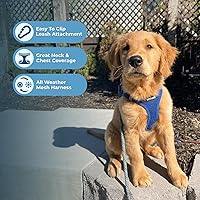 Vista 3 de Best Pet Supplies Voyager Step-in Air Harness - Malla para todo tipo de clima, arnés reflectante sin tirón para perros y gatos - Seguro con cierre