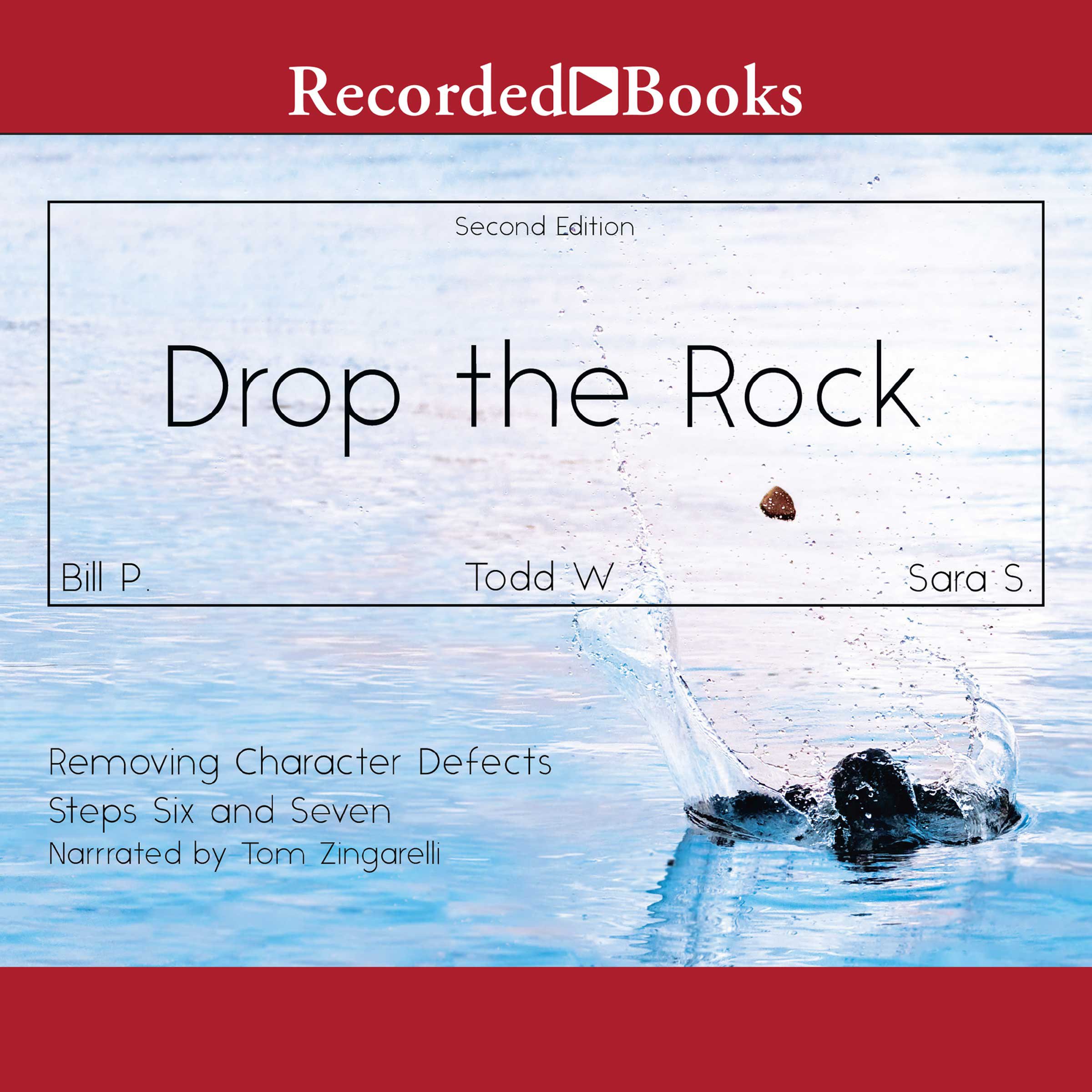Cover art for Drop the Rock