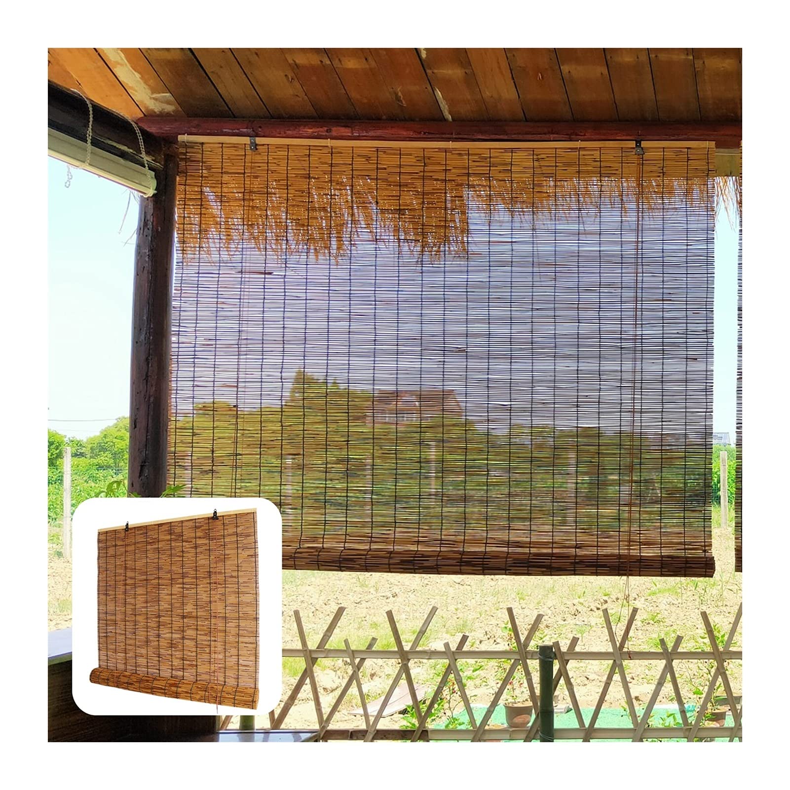 最大69%OFFクーポン Madu 貝がら カーテン すだれ i9tmg.com.br