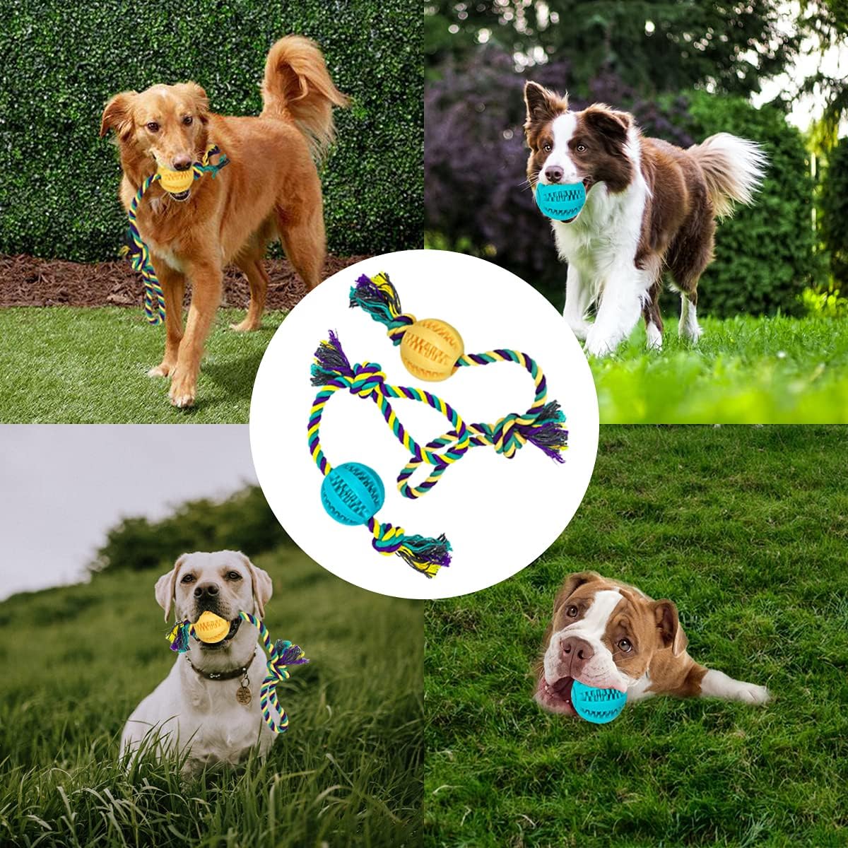 Dog Ball and Rope toy, Dog throw toy with Dog Bone Small Medium Dog Fetching, Catching, Throwing - Image 5