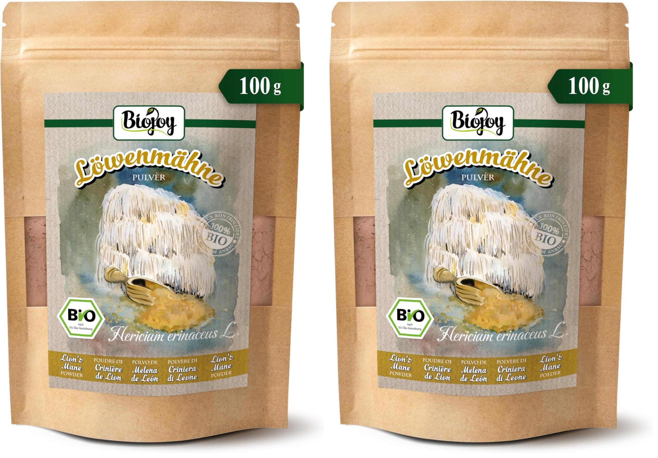 Poudre de champignon champignon Lion's Mane séché Hydne Hérisson - 13