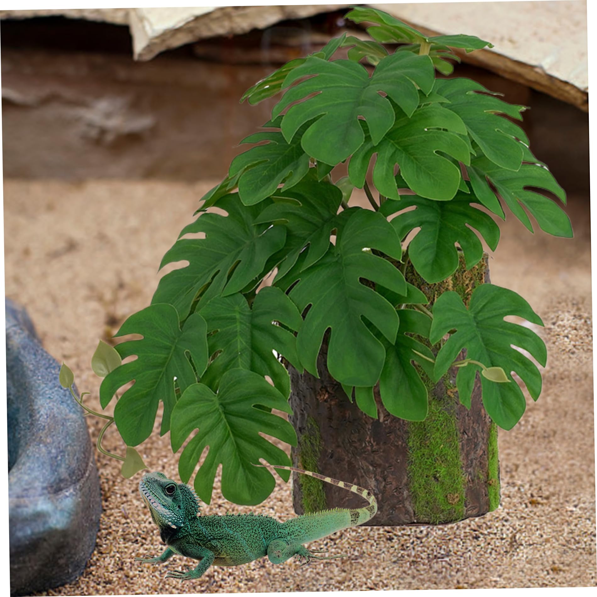 Plantes de Terrarium, Plantes Reptiles Fausse Plante de monstrea avec décoration de souche d'arbre