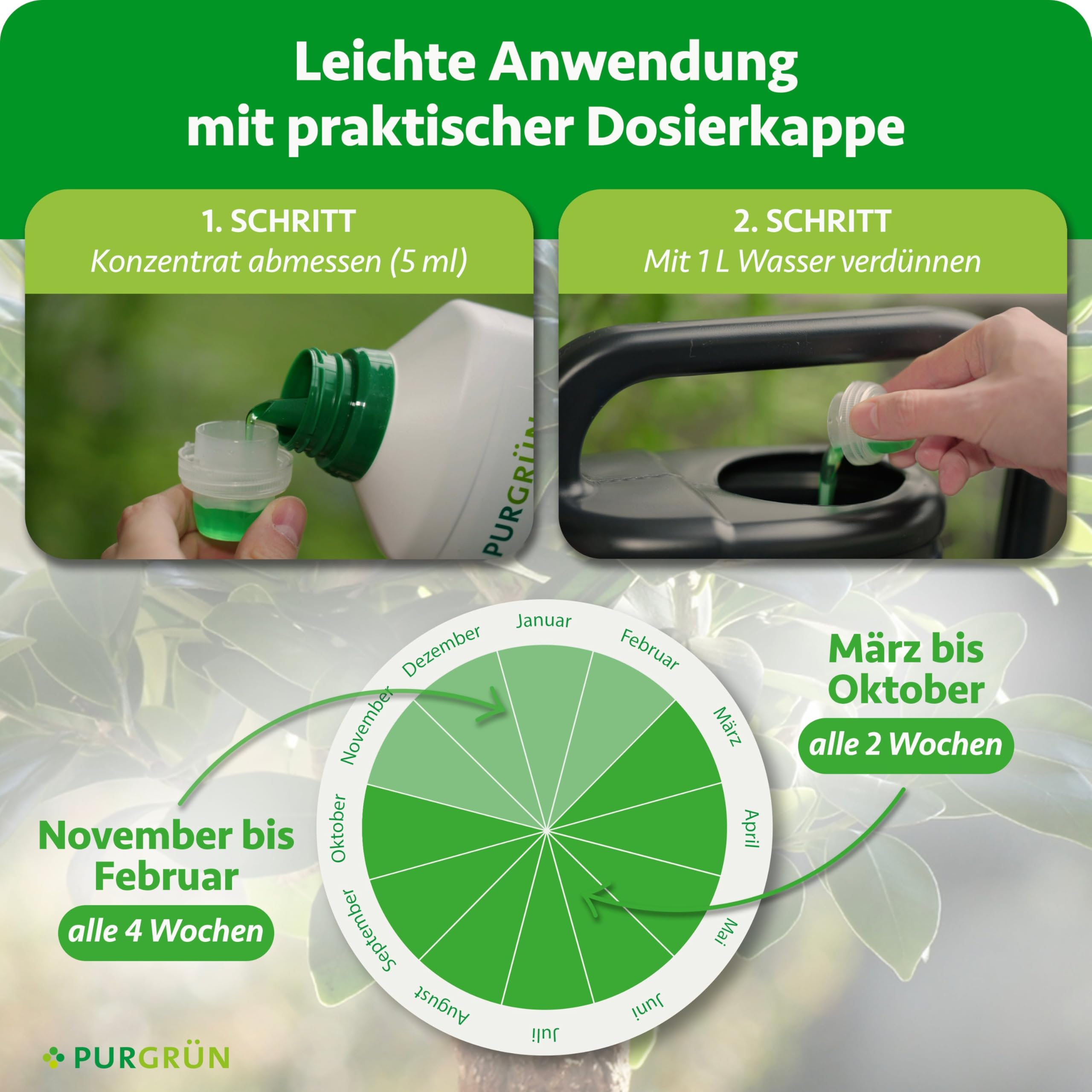 Ficus-Ginseng-Dünger 1 Liter – Fördert gesundes, dichtes Wachstum – Premium-Dünger mit Spurennährstoffen – Stärkt die Widerstandskraft mit Kalium – Konzentrat für 200 Liter Gießwasser
