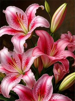5D DIY Diamond Painting Kit for Adults Flower,Diamond Art Kits for Beginner,Painting by Diamonds,Gem Art Kits Round Drill for Home Wall Decor Gifts for Women, Men Red Flower