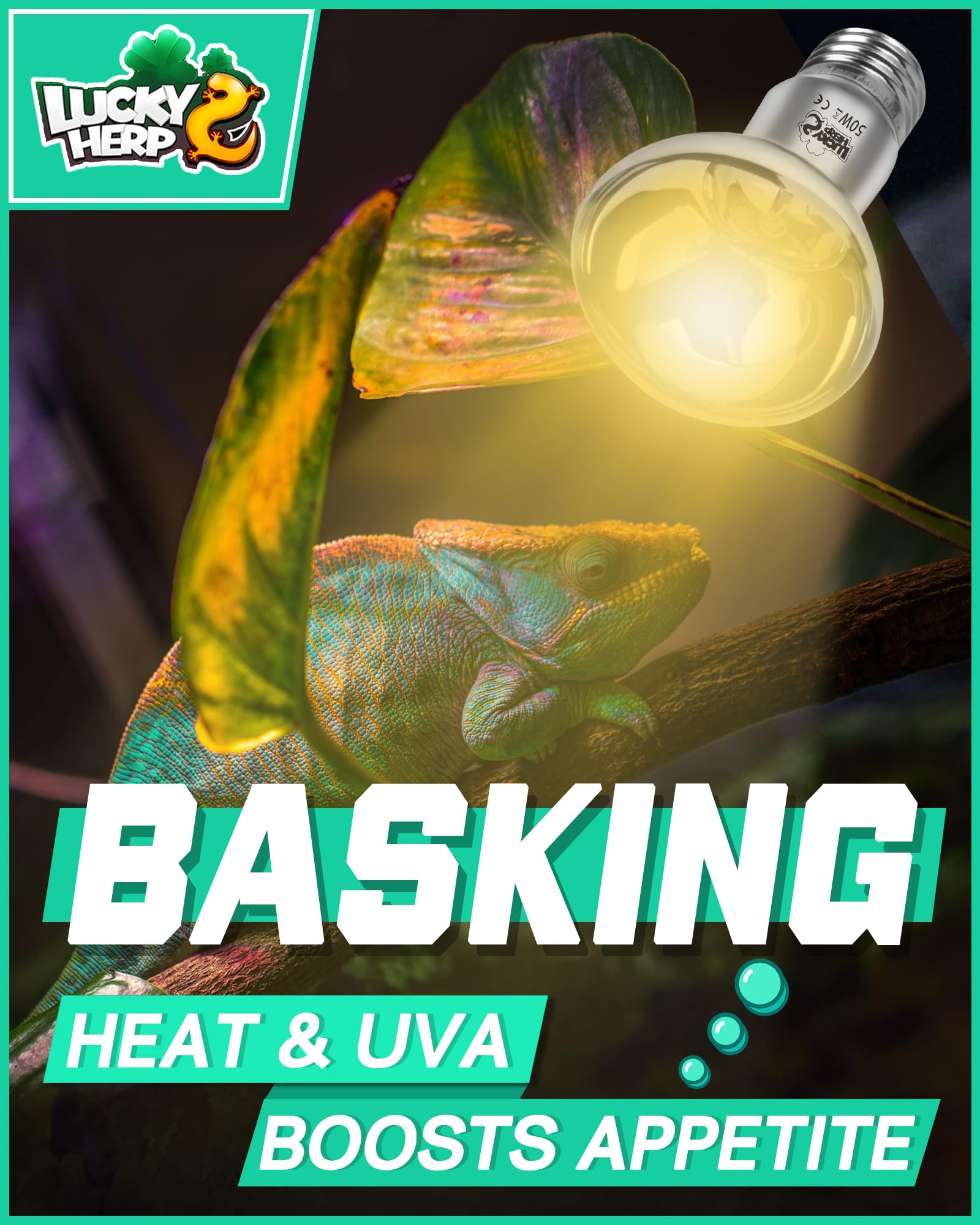 LUCKY HERP Reptile Heat Lamp Bulb - Image 2