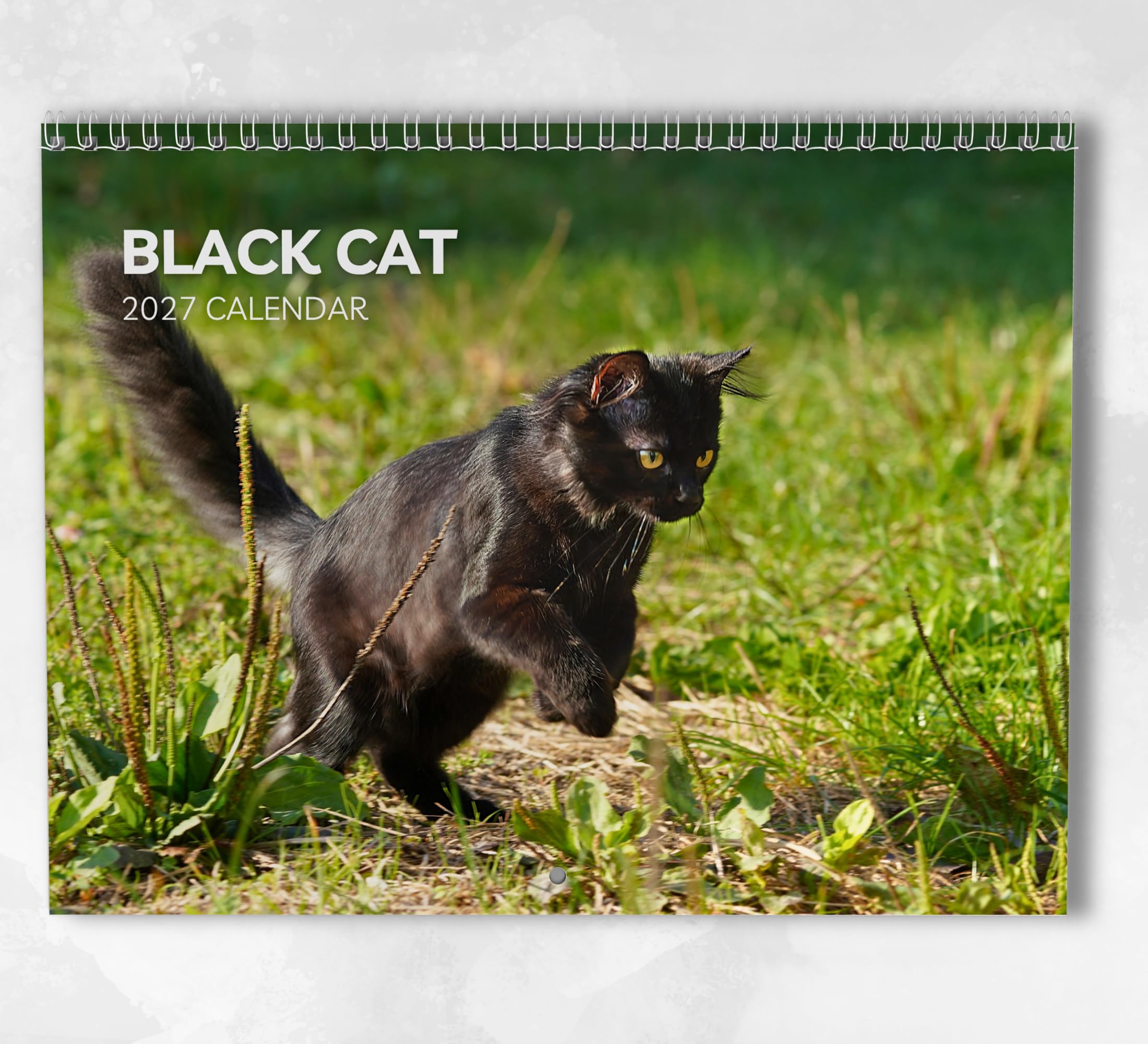 Black Cat Calendar 2027: Monthly Wall Calendar with Notes, Hanging A3 Size, Includes key dates & holidays
