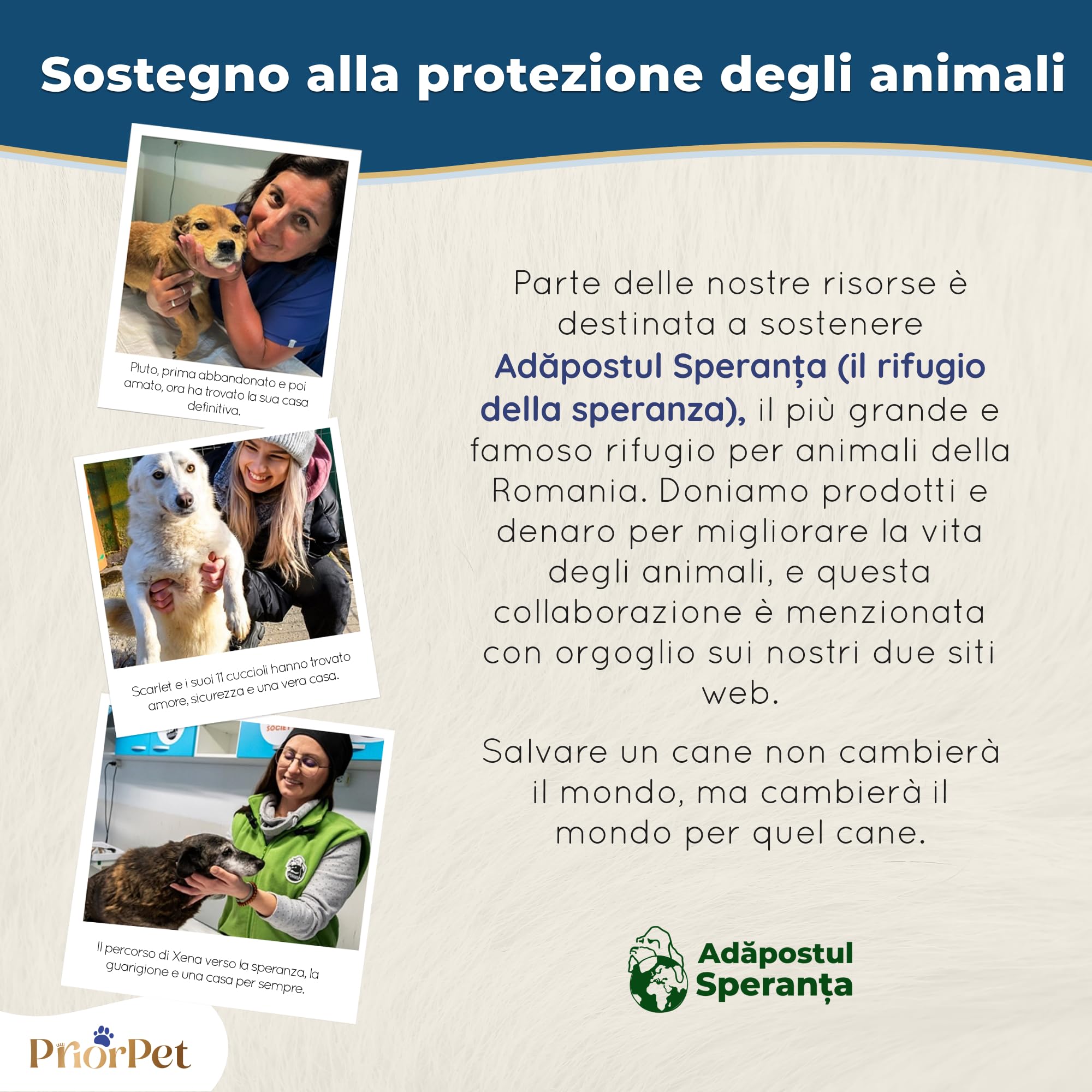 Rampa per Cani Piccoli o Grandi - Regolabile 18-53 cm - Per Letto e Divano - Legno di Betulla - La Piattaforma Si Collega Perfettamente - Rampa Pieghevole - Naturale