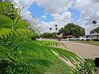 Review Image by Brian M. Edwards