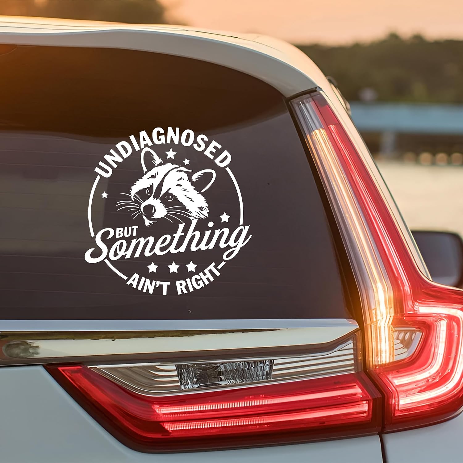Undiagnosed But Something Ain't Right Car Decal Funny Raccoon Cute Sticker for Car Window Bumper Truck Mental Health ADHD Decals Vinyl Waterproof 6 Inches Car Accessories Stickers Gift for Mom Dad image 2