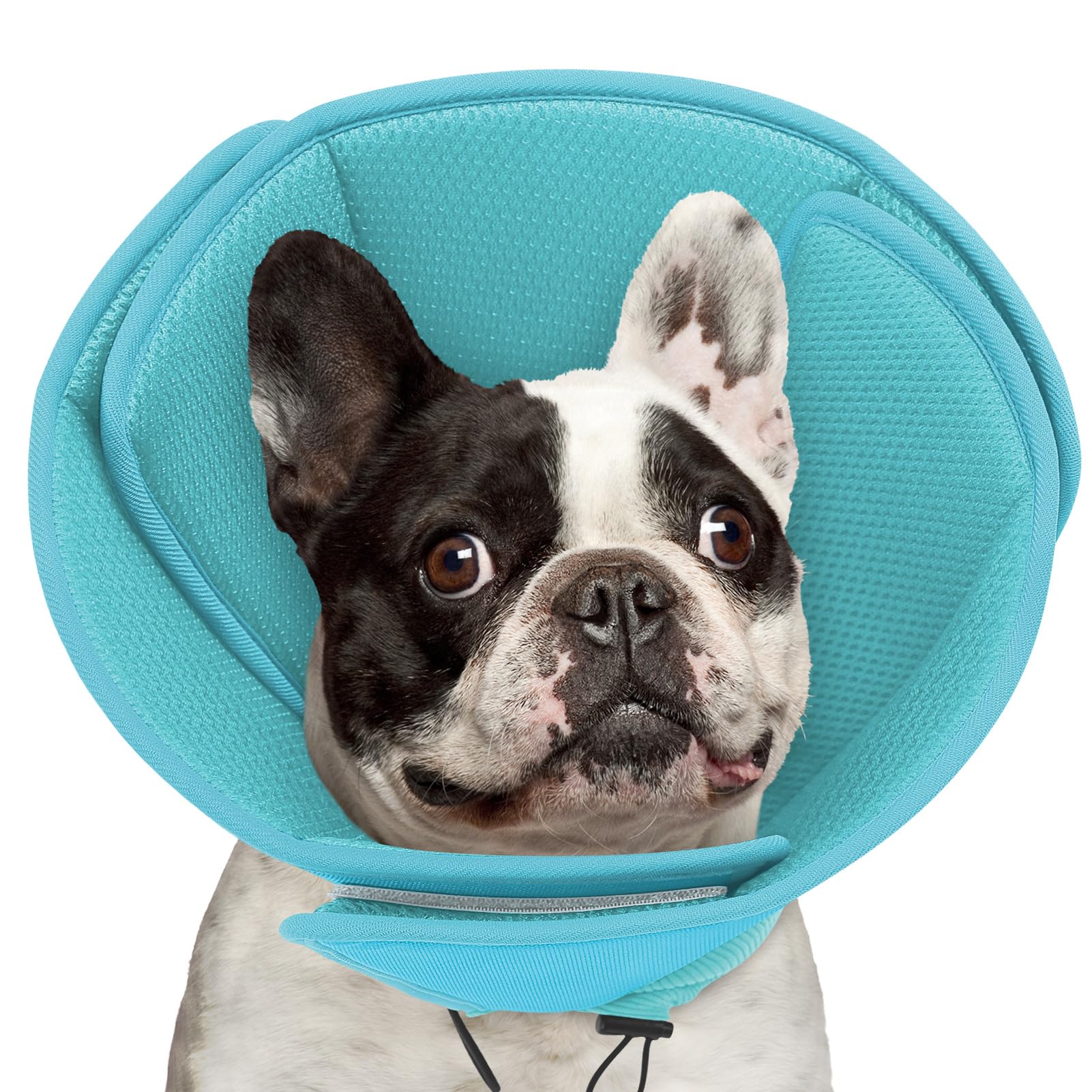 Photo 1 of Queennmore Soft Recovery Cone for Small Dogs & Cats,Adjustable Comfy Dog Cone Alternative for Post-Surgery Wound Healing,LightBlue,S
