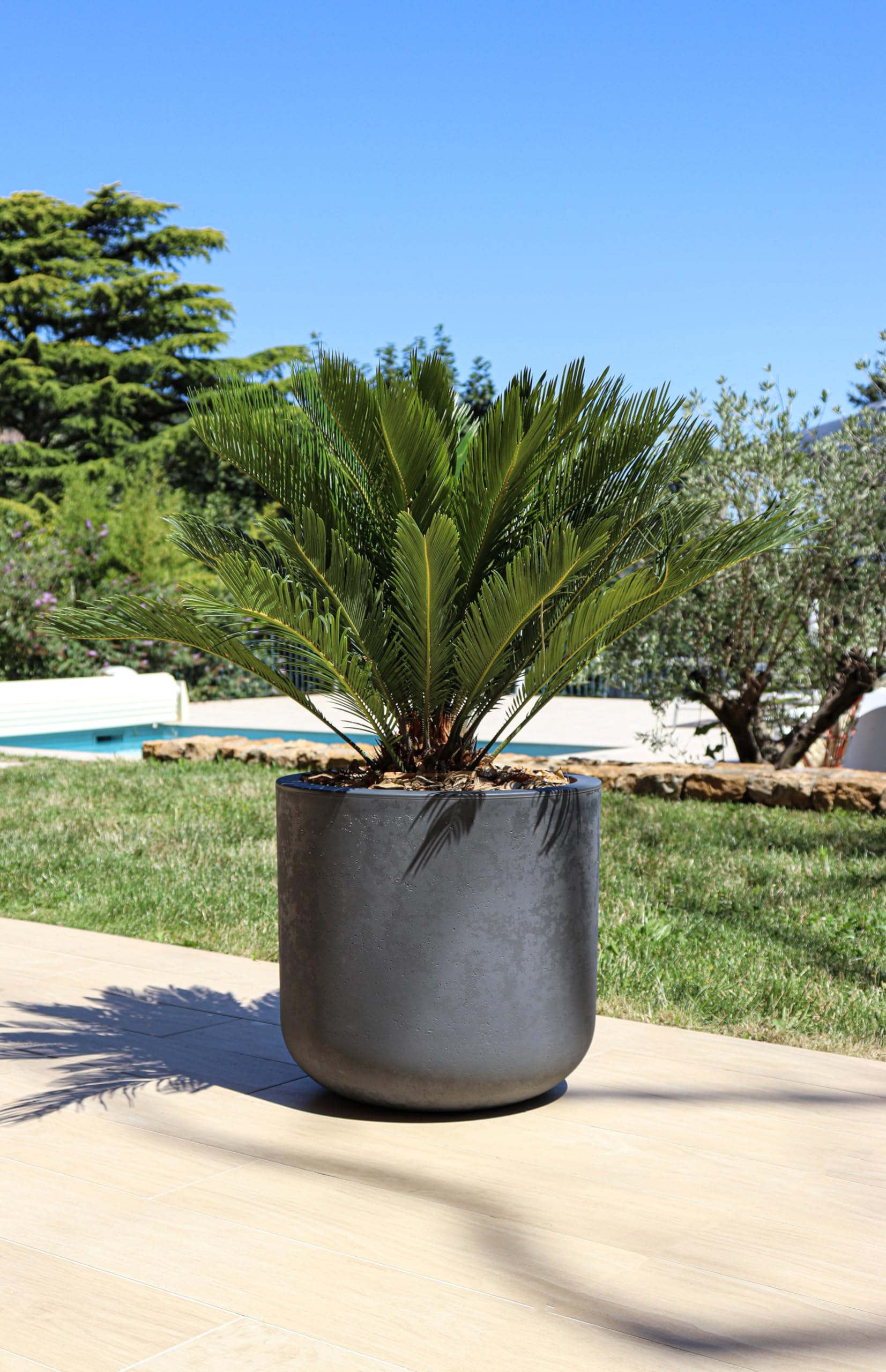 EDA - Pot Rond 50 cm Basalt'Up 67 L - Décor Imitation Béton - Simple Paroi - Zone de Rétention d'eau - Ø 48,5 x H.46,2 cm - Gris Anthracite