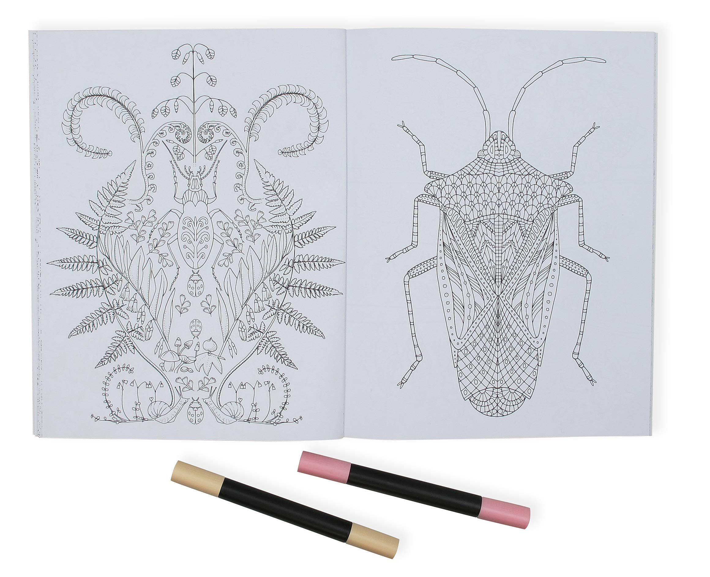 Snapklik.com : Wonderful Insects Coloring Book