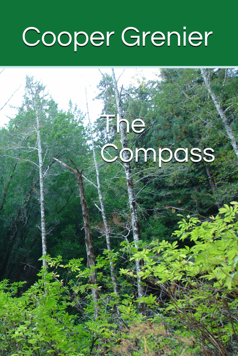The Compass