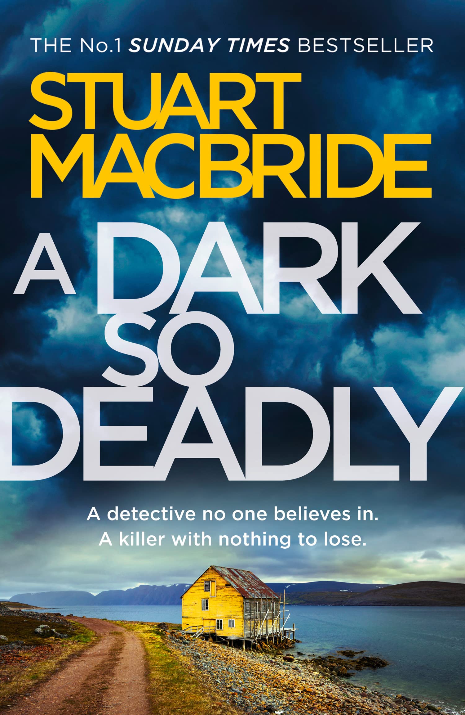 A Dark So Deadly: A standalone crime thriller from the... - MacBride, Stuart