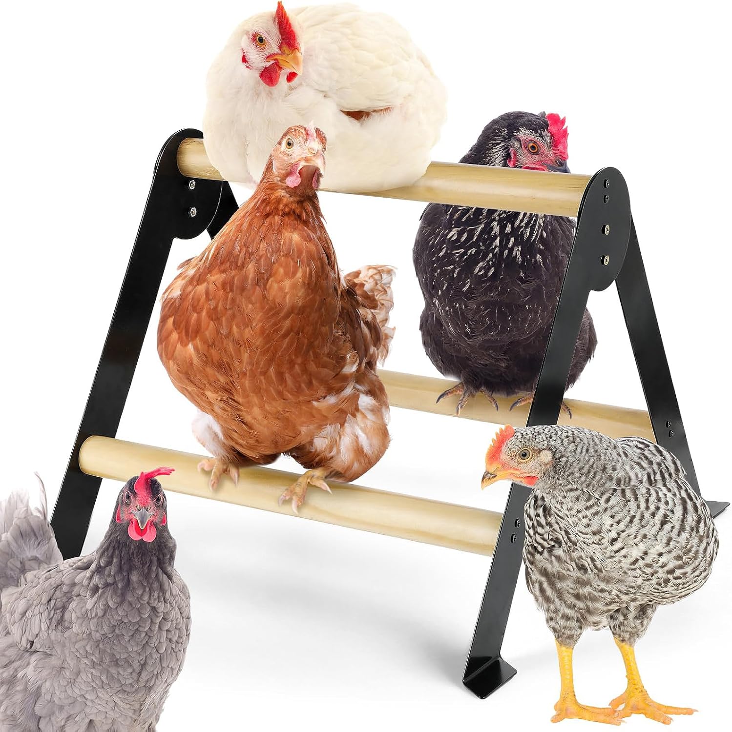 18.1" Lx18.9 Wx13.8 H Large Metal Stable Chicken Perch - Wooden Chicken Roosting Bars, Easy to Assemble & Clean Stand Ladder Fun Toys for Coop Accessories