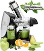 Nutrilovers Slow Juicer Green-Press Stainless Steel Snail German Brand Whole Fruit Juicing Celery Vegetables and Fruit Juicer Test Winner Allrounder Electric Juicer [Energy Class A+++]