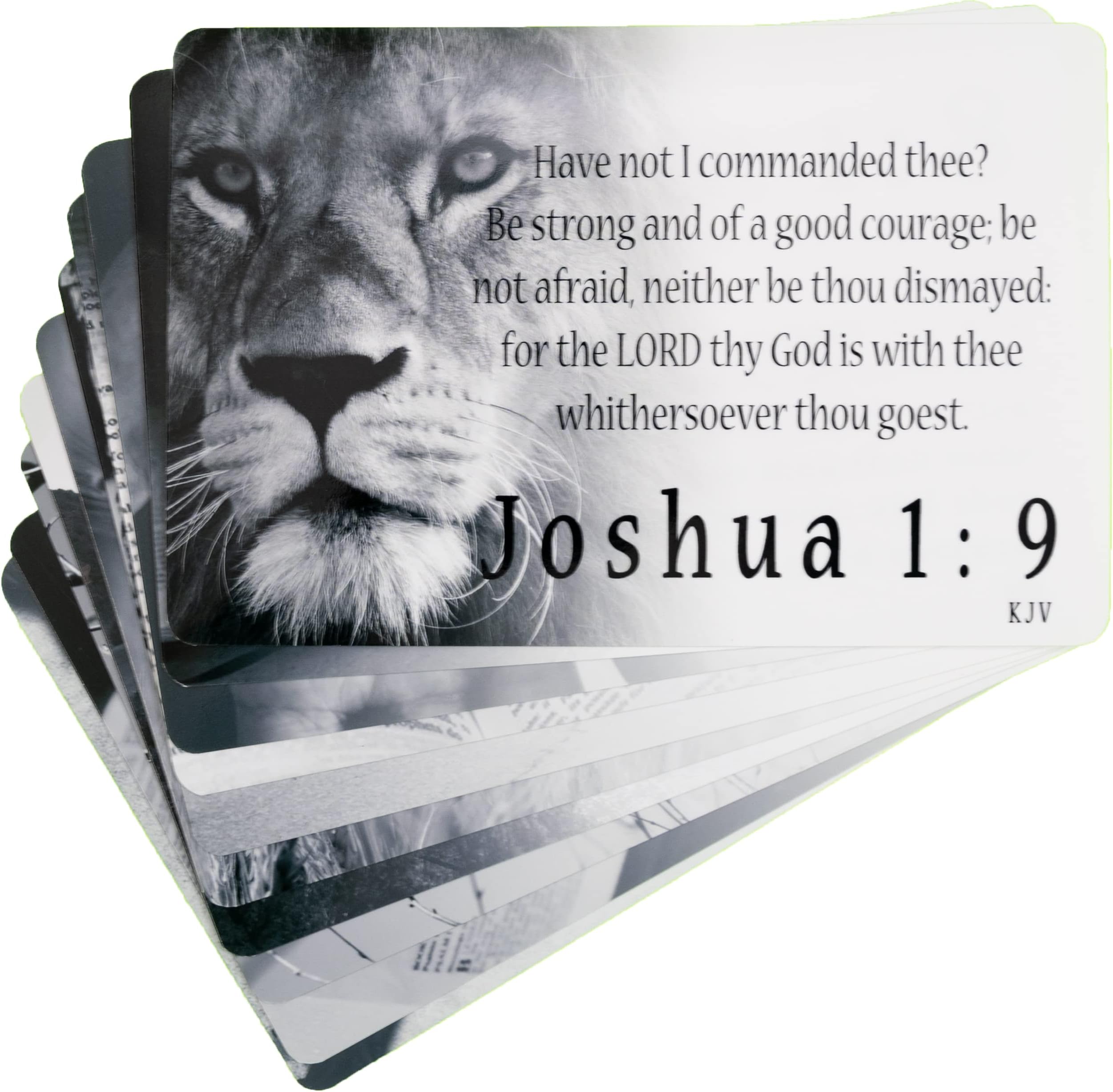 Men's Scripture Cards