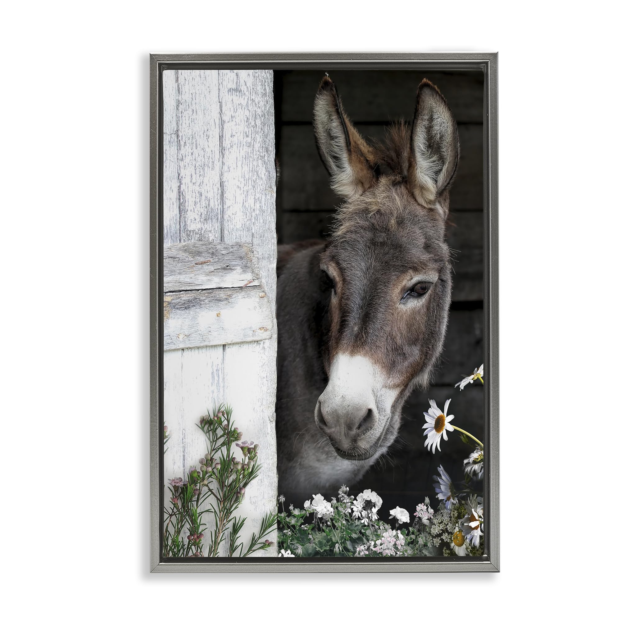 Stupell Industries Luster Gray (Matte) Gentle Donkey Barn Peering Farmhouse, 16 X 24 Inch Canvas In Floater Frame