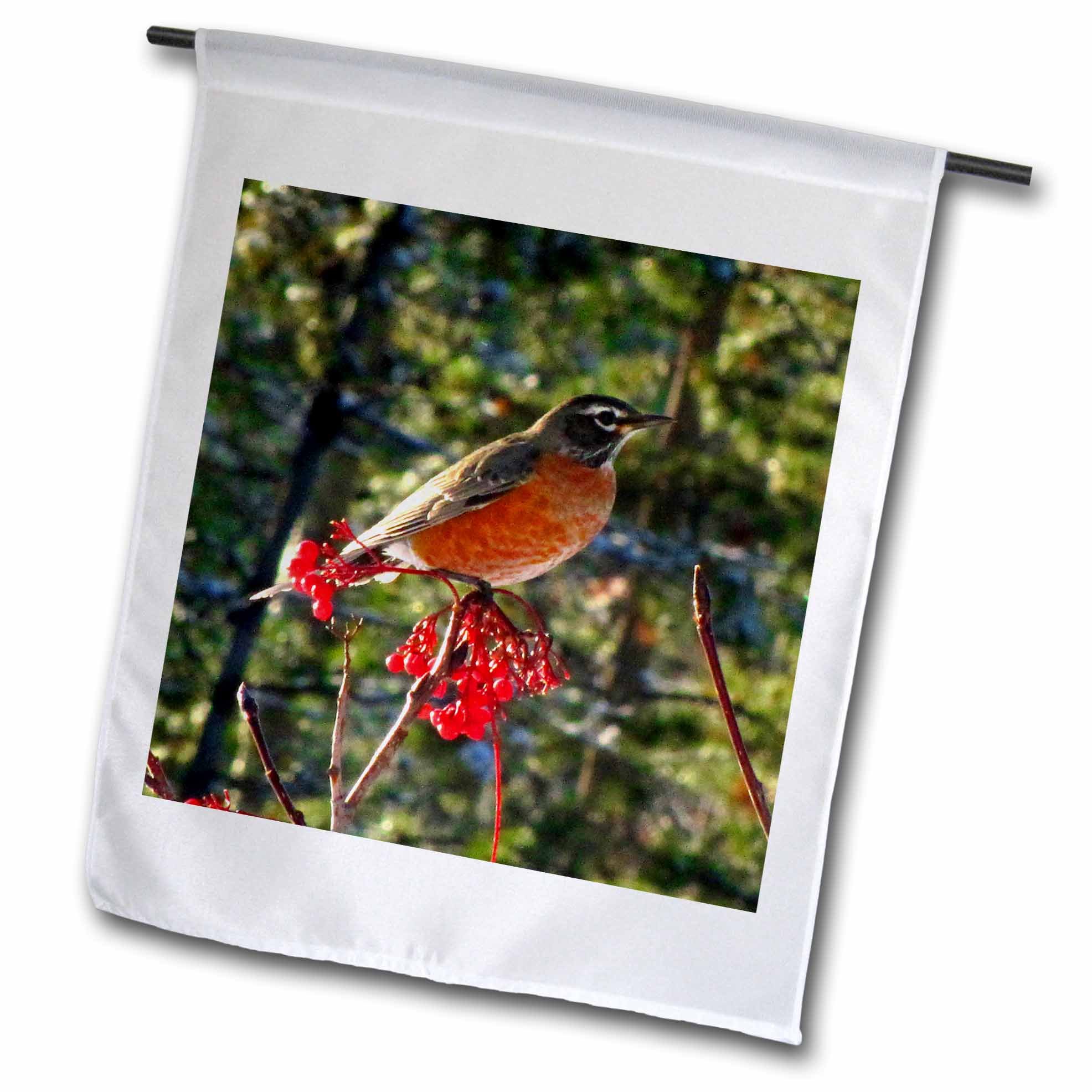 3dRose fl_16888_1 Robin in The Mountain Ash Tree 1 Garden Flag, 12 by 18-Inch