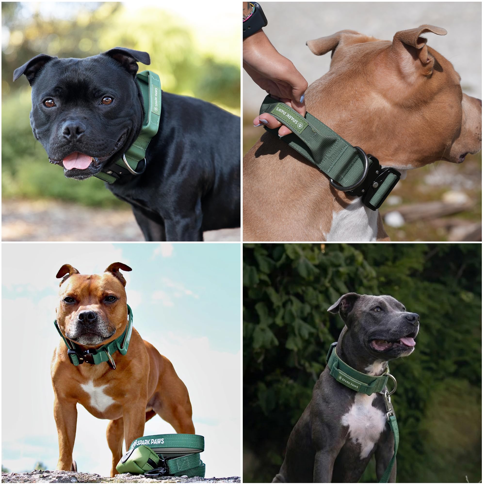 Spark Paws Collare tattico per cani, collare di alta qualità, design robusto e durevole per razze grandi e forti, pitbull, boxer, verde tinta unita, L, 3,8 cm