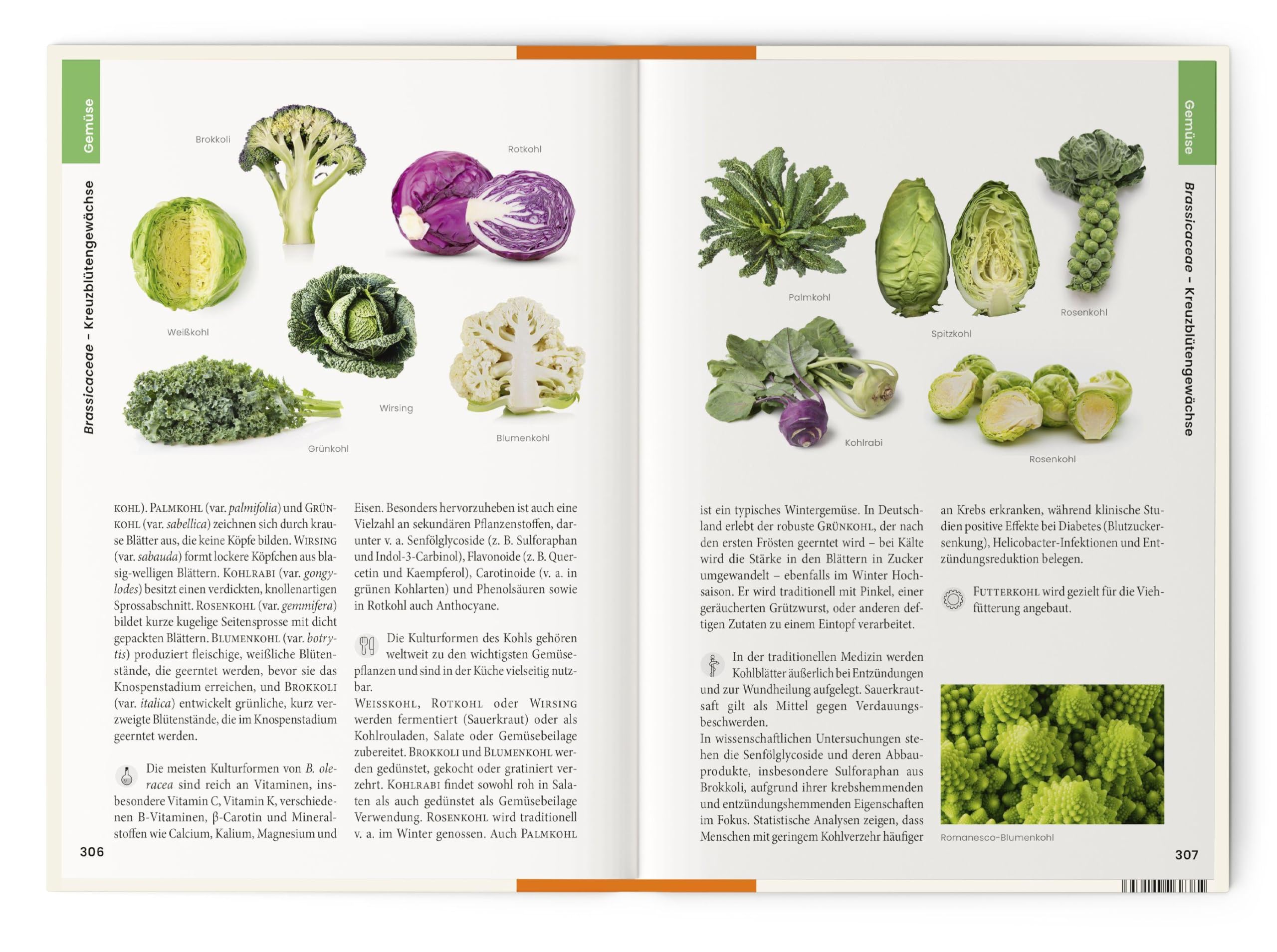 Vorzugsausgabe Was wir essen: Obst, Gemüse, Gewürze, Kräuter und Grundnahrungsmittel. Essbare Pflanzen aus aller Welt