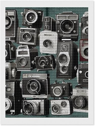 DWVSFJM Retro Cool Camera Collection - Kits de pintura de diamantes de 12 x 16 pulgadas, kits de pintura de diamantes para principiantes, pinturas