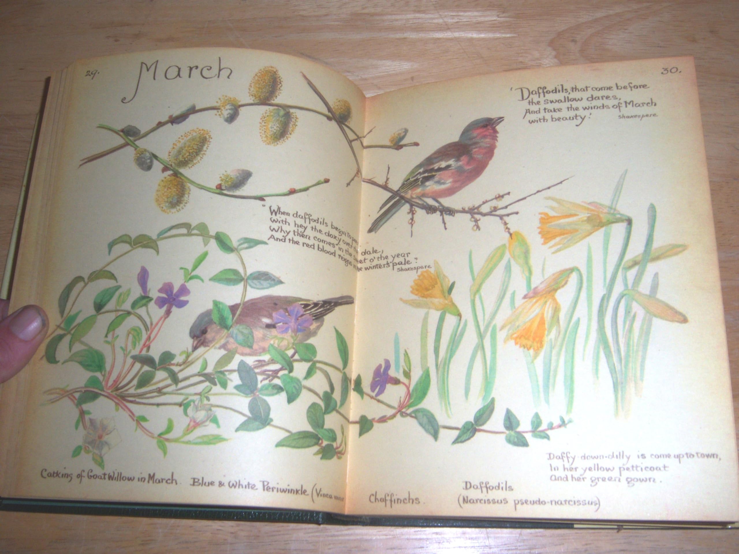 The Country Diary of an Edwardian Lady, 1906: A Facsimile Reproduction of a Naturalist's Diary - Image 7