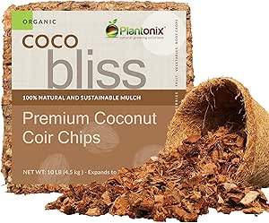 Plantonix Coco Bliss Premium Coconut Chips Block/Brick : Amazon.co.uk