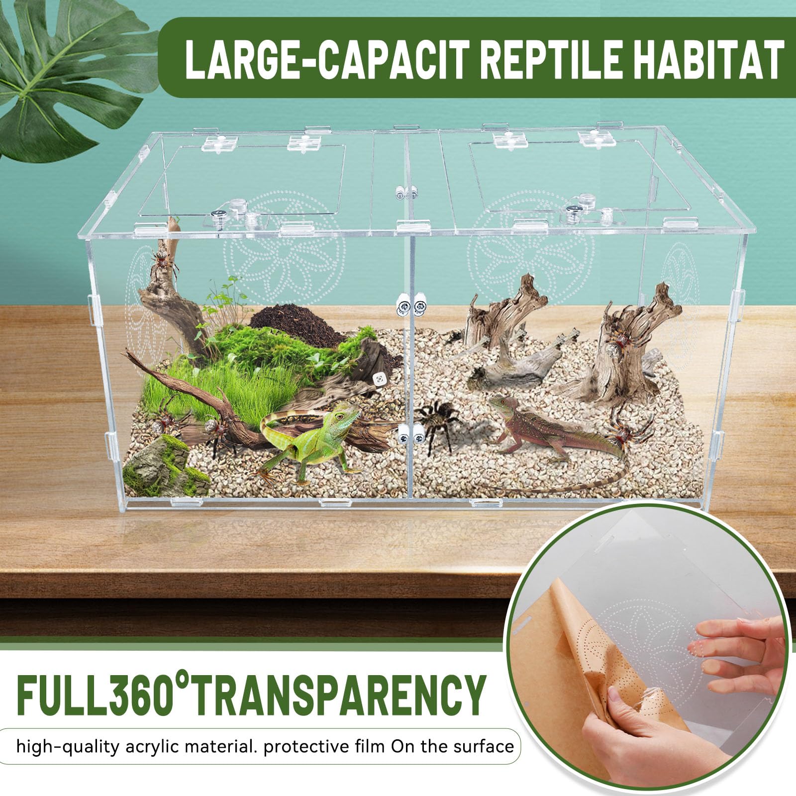 Recinto grande de araña saltadora, caja de tarántula acrílica de 15.7 x 7.8 x 9.85 pulgadas, recinto de reptiles para reptiles que viven en árboles pequeños, anfibios e invertebrados, terrario de