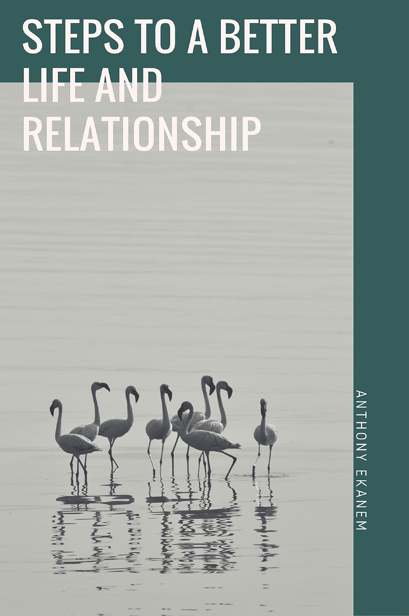 Buy Steps to a Better Life and Relationship — BookShops.in