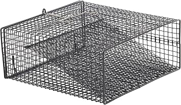 Frabill Flat-Bottom Crawfish Trap | Low-Profile Square Trap Specifically Designed for Crawfish