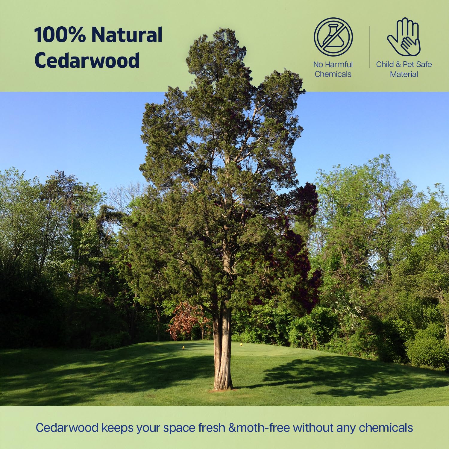 Cedarwood Moth Repellent for Wardrobes Pack of 8 Cedar Wood Hanging Blocks | 100% Natural Cedar Wood Moth Hangers for Clothes Protection | UK Moths Deterrent & Killer for Drawers with Sandpaper — view 3